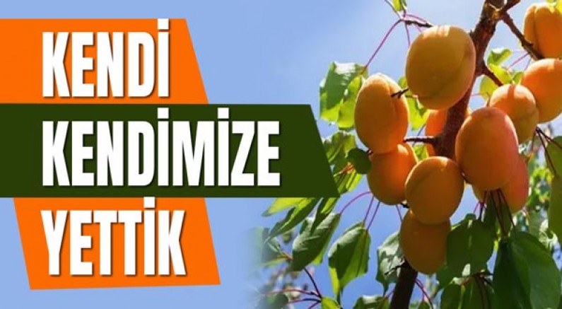 Kendi Kendimize Yettik