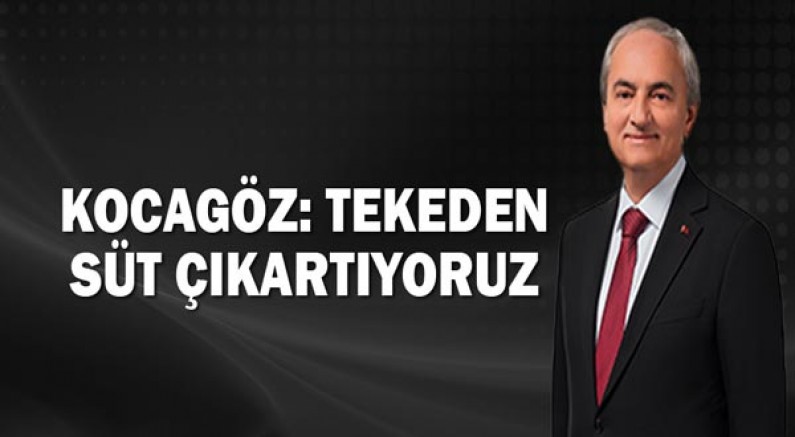 Kocagöz: Tekeden süt çıkartıyoruz
