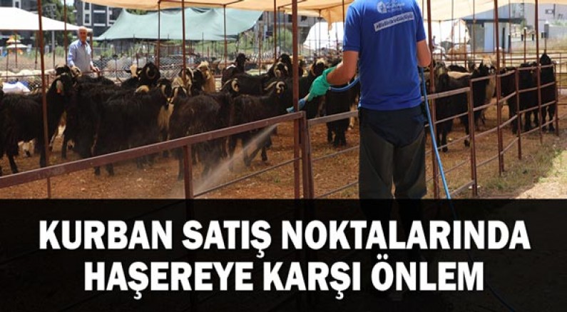 Kurban Satış Noktalarında Haşereye Karşı Önlem