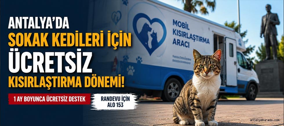 Antalya’da Sokak Kedileri İçin Ücretsiz Kısırlaştırma Dönemi