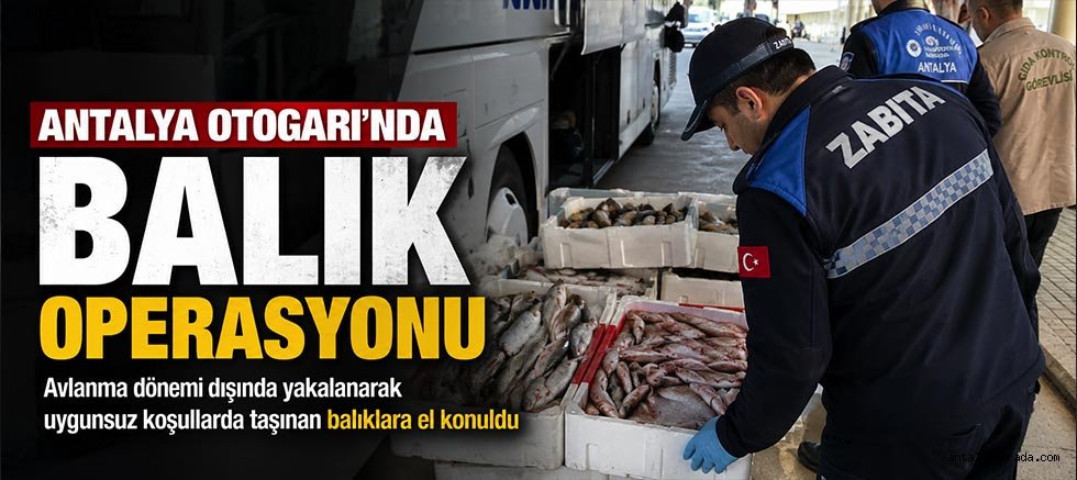 Antalya Otogarı’nda balık operasyonu