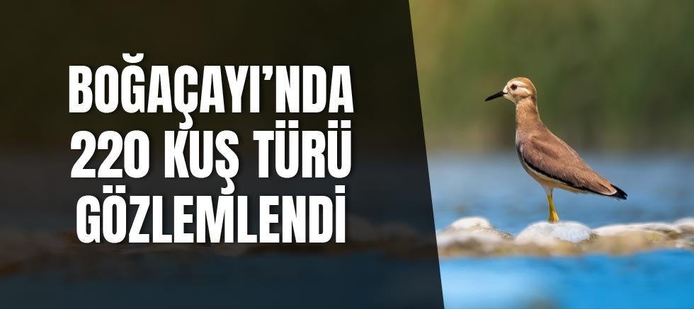 Boğaçayı’nda 220 kuş türü gözlemlendi