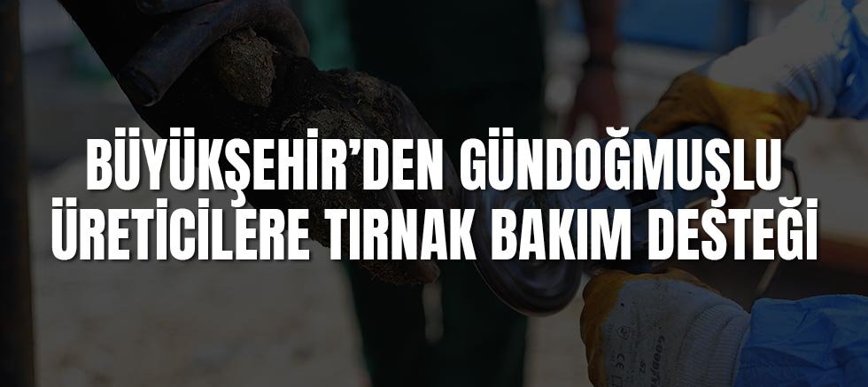 Büyükşehir’den Gündoğmuşlu üreticilere tırnak bakım desteği