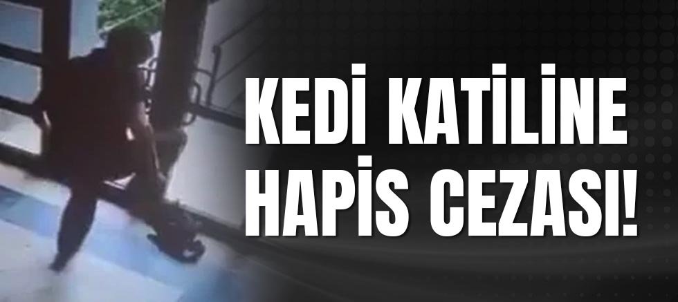Cezve’nin Ardından Yükselen Ses: “Adalet Her Can İçin!