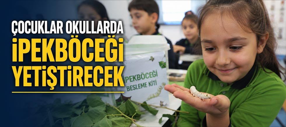 Çocuklar okullarda ipekböceği yetiştirecek