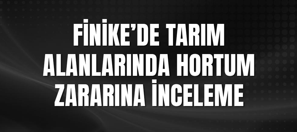 Finike’de Tarım Alanlarında Hortum Zararına İnceleme