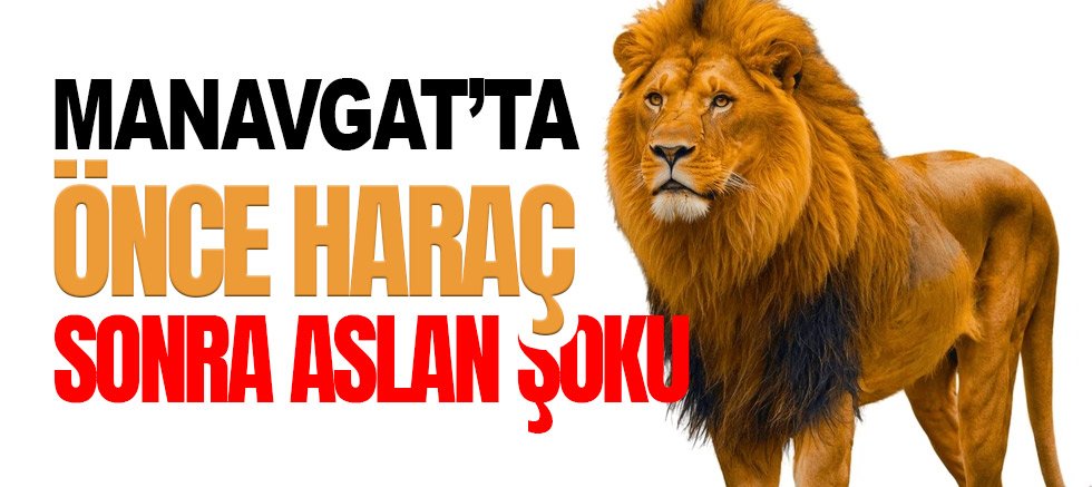 Manavgat’ta Aslan Dehşeti: Tarla Sulayan Çiftçiye Saldırdı