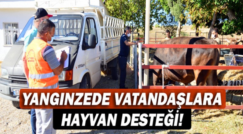 Manavgat Belediyesi’nden yangınzede vatandaşlara hayvan desteği!