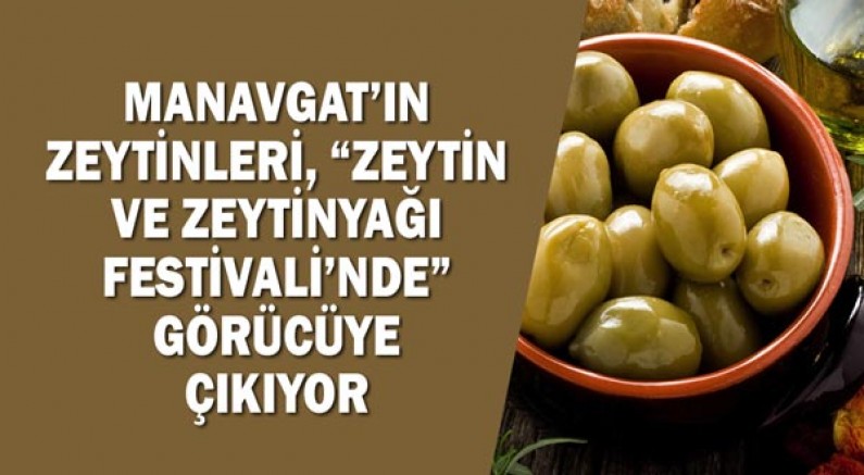 Manavgat’ın zeytinleri, “Zeytin ve Zeytinyağı Festivali’nde” görücüye çıkıyor