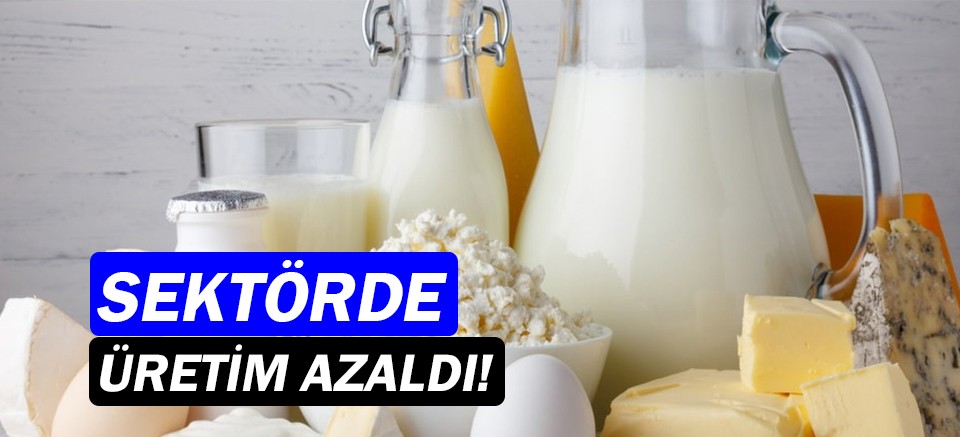 Süt ve süt ürünleri üretim verileri açıklandı!