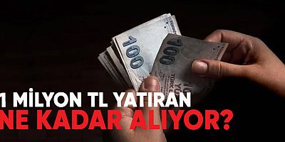 1 Milyon TL yatıran ne kadar alıyor?