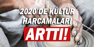 2020 yılı kültür ekonomisi ve kültürel istihdam istatistikleri açıklandı!