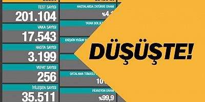 25 Aralık Covid-19 vaka sayısı.