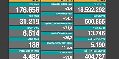 30 Kasım Covid-19 vaka sayısında zirveye ulaşıldı.