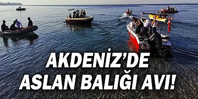 Akdeniz’de aslan balığı avı