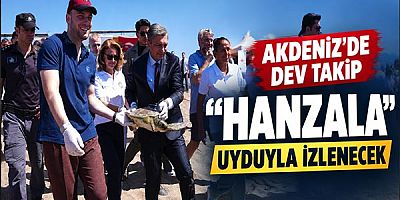 Akdeniz’de Dev Boyutlu Takip: Nesli Tehlikedeki Yeşil Deniz Kaplumbağası 