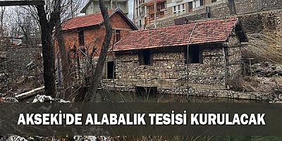 Akseki'de alabalık tesisi kurulacak