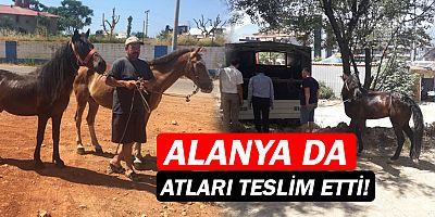 Alanya’da fayton ve atlar teslim alındı
