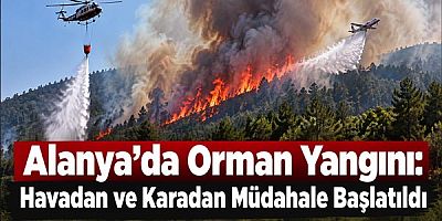 Alanya'da Orman Yangını: Havadan ve Karadan Müdahale Başlatıldı