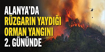 Alanya'da Rüzgarın Yaydığı Orman Yangını 2. Gününde
