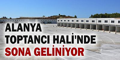 Alanya Toptancı Hali'nde sona geliniyor