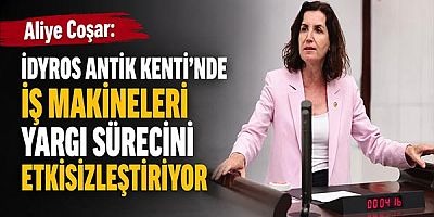 Aliye Coşar: İdyros Antik Kenti'nde İş Makineleri Yargı Sürecini Etkisizleştiriyor
