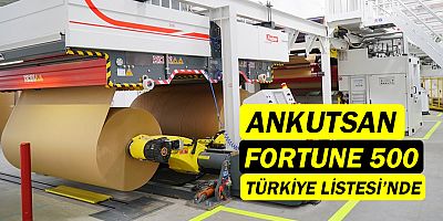 Ankutsan, Fortune 500 Türkiye listesinde