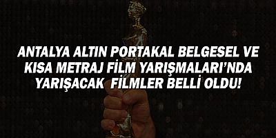 Antalya Altın Portakal Belgesel Ve Kısa Metraj Film Yarışmaları’nda Yarışacak  Filmler Belli Oldu!