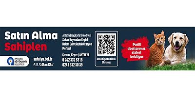 ANTALYA BÜYÜKŞEHİR BELEDİYE BŞK. SOKAK HAYVANLARI GEÇİCİ BAKIM EVİ VE REHAB.MER. İLAN - 31-07-26