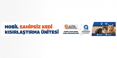ANTALYA BÜYÜKŞEHİR BELEDİYESİ MOBİL SAHİPSİZ KEDİ KISIRLAŞTIRMA DUYURUSU 23 HAZİRAN
