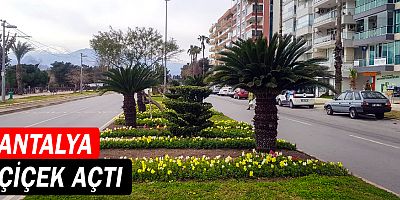 Antalya çiçek açtı