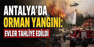Antalya'da Orman Yangını: Evler Tahliye Edildi