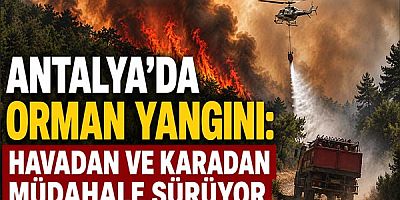 Antalya’da Orman Yangını: Havadan ve Karadan Müdahale Sürüyor