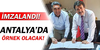 “Her okula bir sokak köpeği”