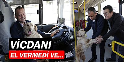 otobüse sığınan köpek
