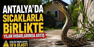 Antalya'da Sıcaklarla Birlikte Yılan İhbarlarında Artış