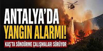 Antalya'da Yangın Alarmı! Kaş'ta Söndürme Çalışmaları Sürüyor
