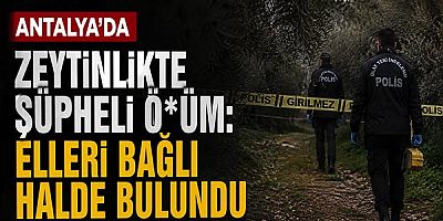 Antalya'da Zeytinlikte Şüpheli Ö*üm: Elleri Bağlı Halde Bulundu