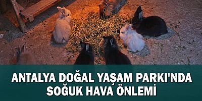 Antalya Doğal Yaşam Parkı'nda soğuk hava önlemi