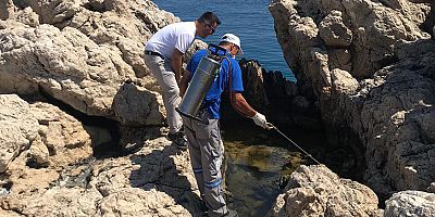 Antalya ilçelerinde haşereye geçit yok
