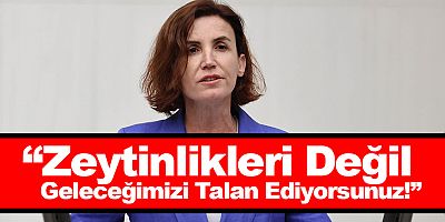 Antalya Mv. Aliye Coşar’dan Meclis’te Sert Tepki: “Zeytinlikleri Değil, Geleceğimizi Talan Ediyorsunuz!”