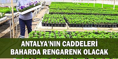 Antalya'nın caddeleri baharda rengarenk olacak