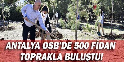 Antalya OSB’de 500 fidan toprakla buluştu!