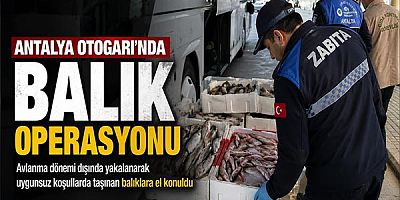 Antalya Otogarı’nda balık operasyonu