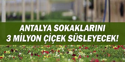 Antalya sokaklarını 3 milyon çiçek süsleyecek