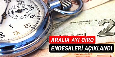 Aralık ayı ciro endeksleri açıklandı