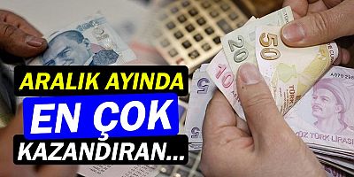 En yüksek aylık reel getiri