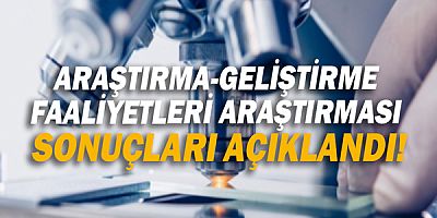 Araştırma-Geliştirme  Faaliyetleri Araştırması  sonuçları açıklandı!