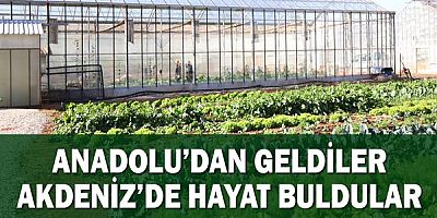 Ata Tohumları Akdeniz Üniversitesi’nde yeşerdi