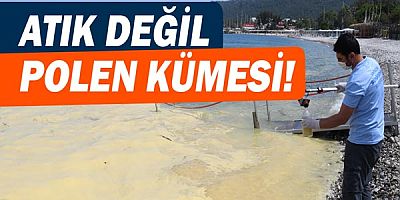Atık değil polen kümesi!